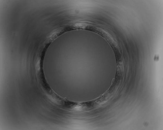 X0000102850504200808251206