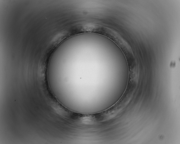 X0000102850505200808251206