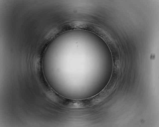 X0000102850506200808251206
