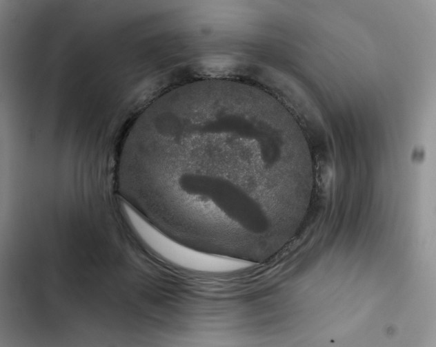 X0000102850507200808251206