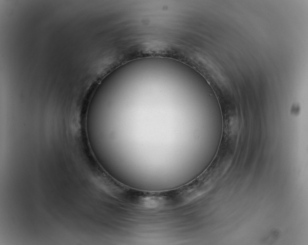 X0000102850508200808251206