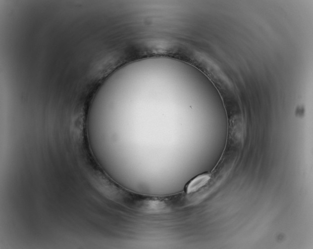X0000102850509200808251206