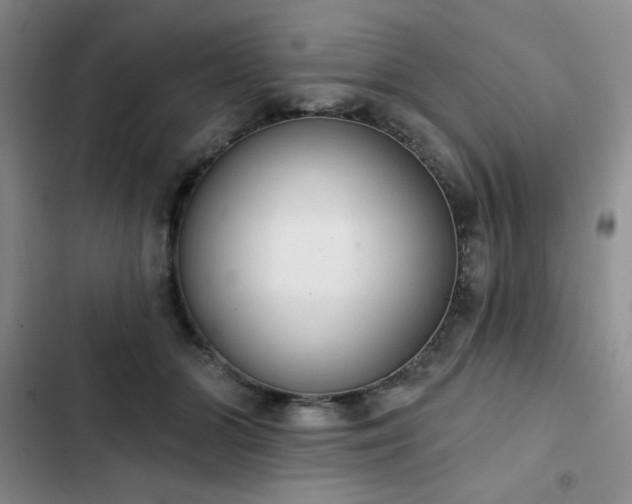 X0000102850510200808251206