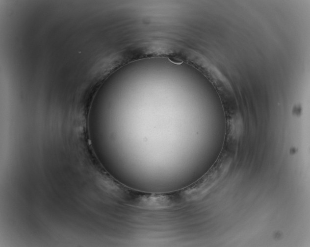 X0000102850517200808251205