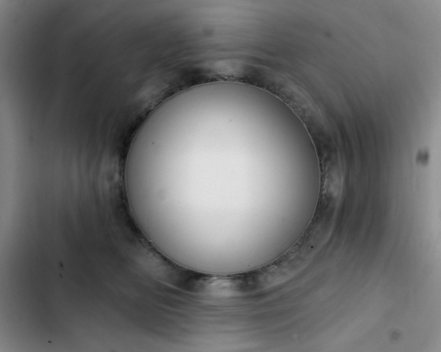 X0000102850518200808251205