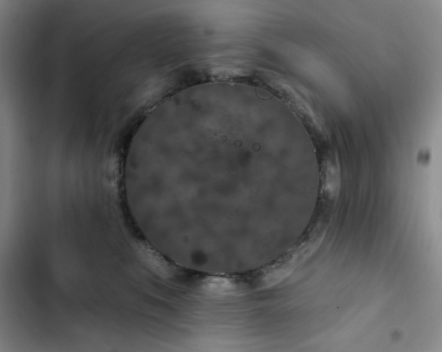 X0000102850519200808251205