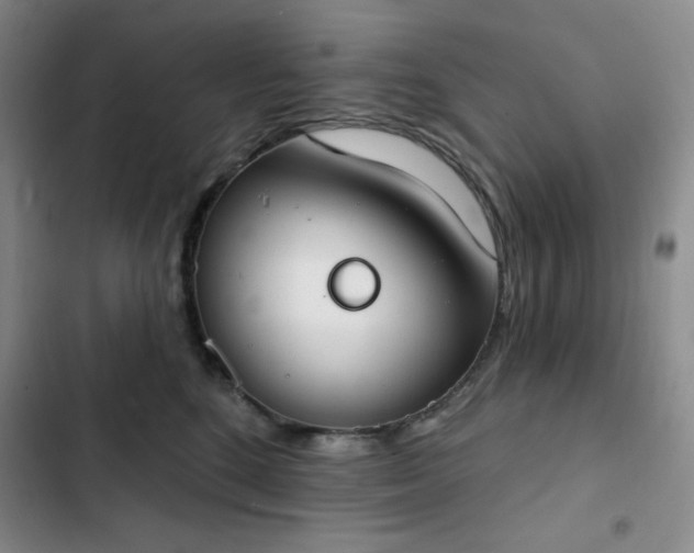 X0000102850520200808251205