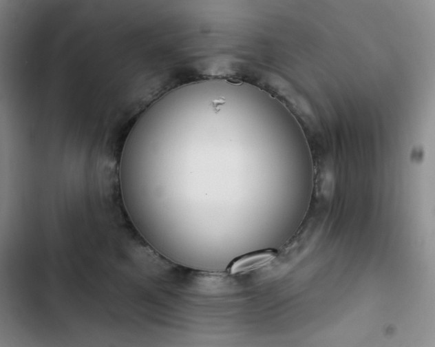 X0000102850521200808251205