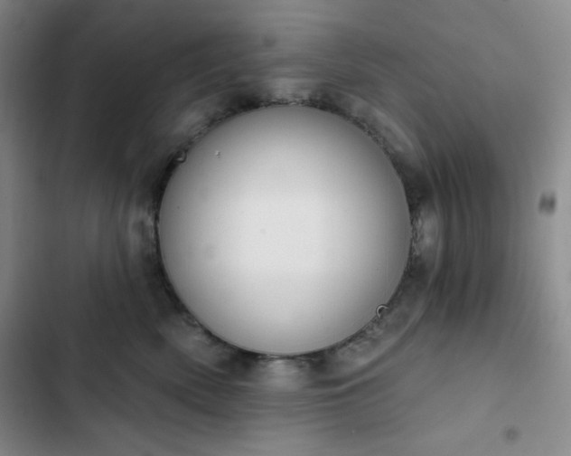 X0000102850522200808251205