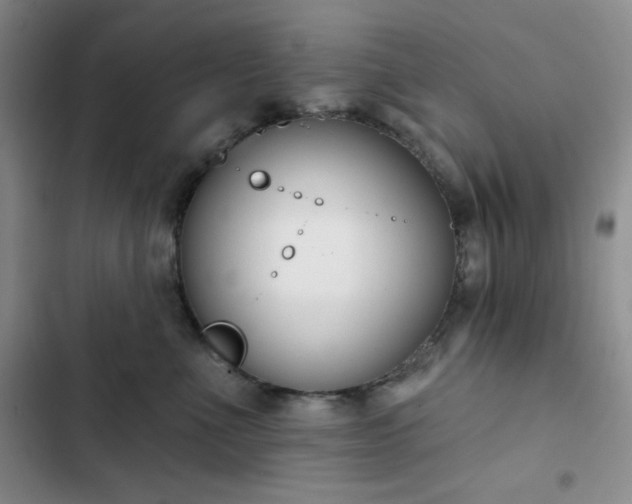X0000102850523200808251205