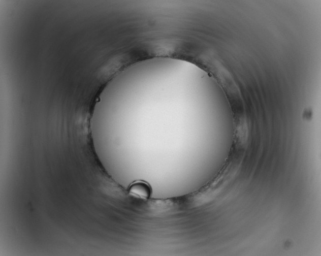 X0000102850525200808251205