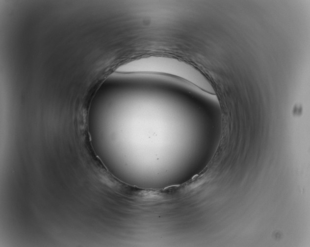 X0000102850528200808251205
