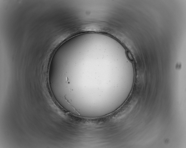 X0000102850529200808251204