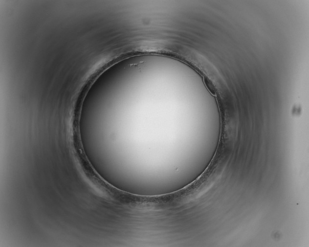 X0000102850530200808251204