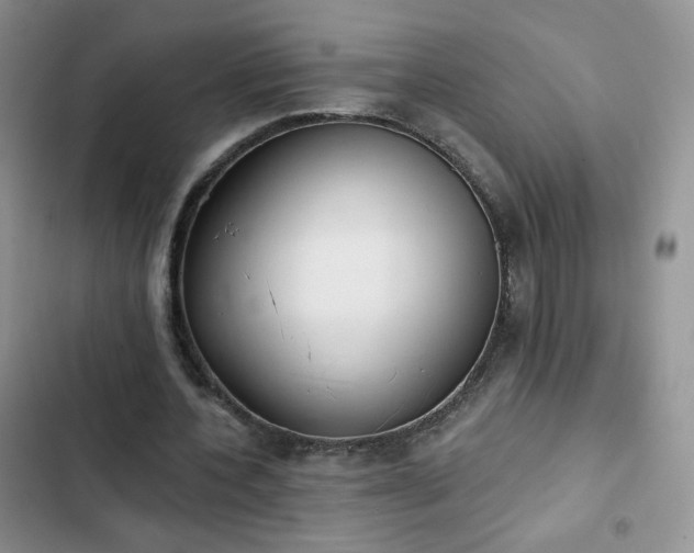 X0000102850532200808251204