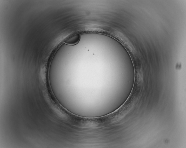 X0000102850533200808251204