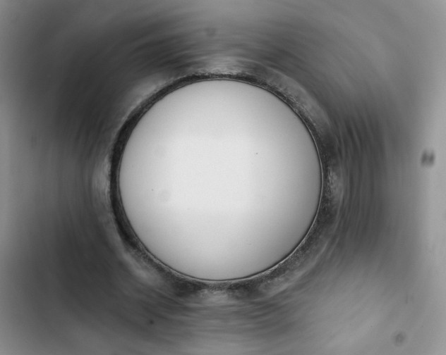 X0000102850534200808251205