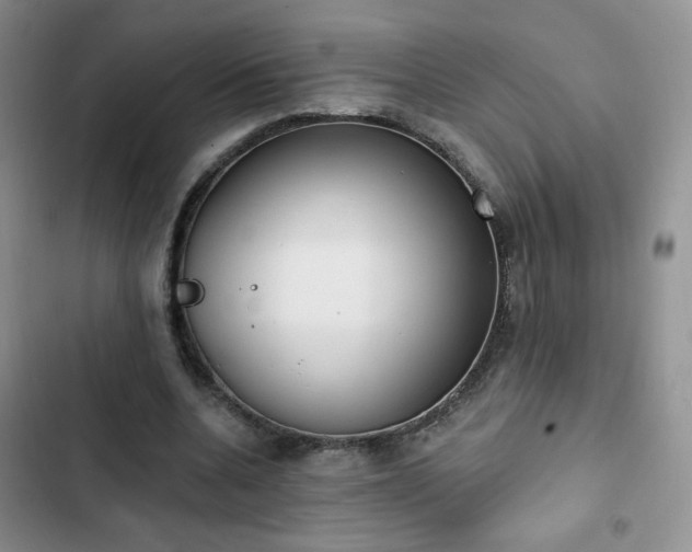 X0000102850536200808251205