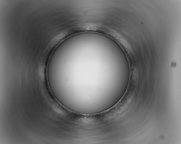 X0000102850537200808251205