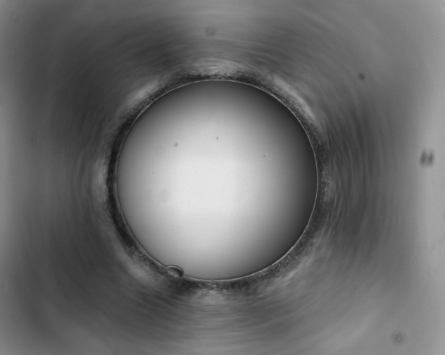 X0000102850538200808251205