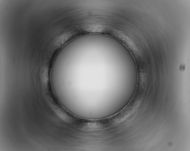 X0000102850541200808251205