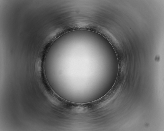 X0000102850542200808251205
