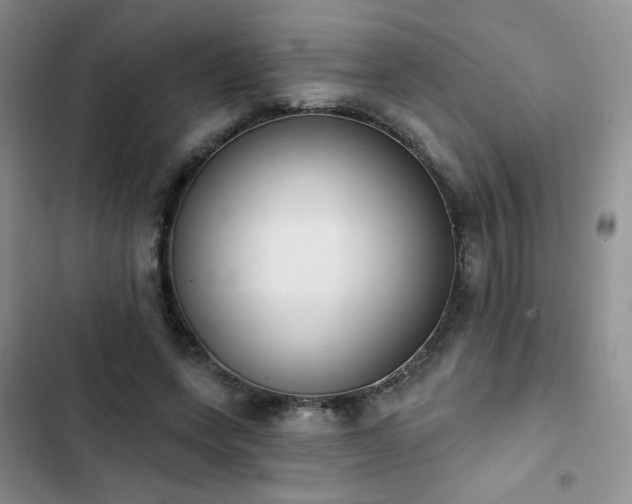 X0000102850543200808251205