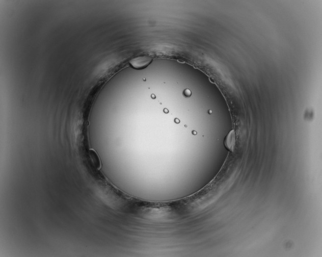 X0000102850548200808251205