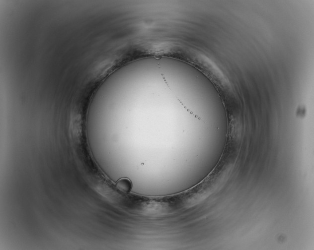 X0000102850549200808251205