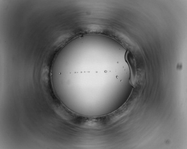 X0000102850550200808251205