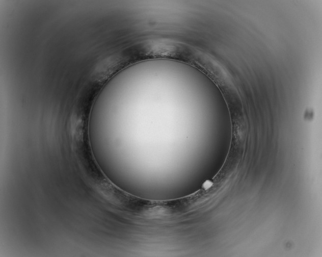 X0000102850551200808251205