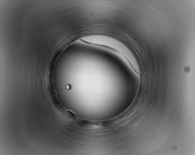 X0000102850552200808251205