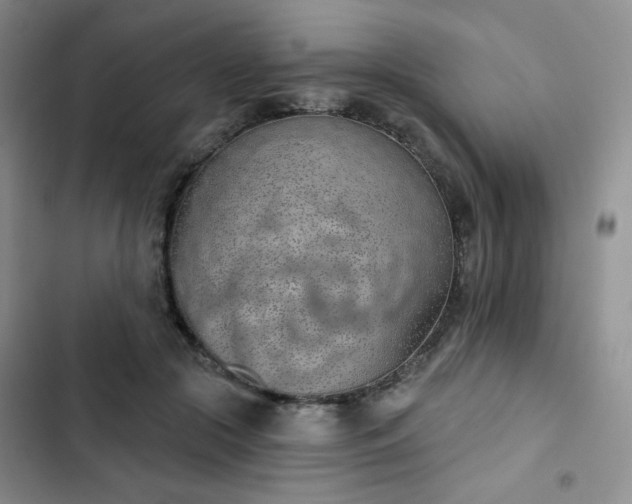 X0000102850553200808251205