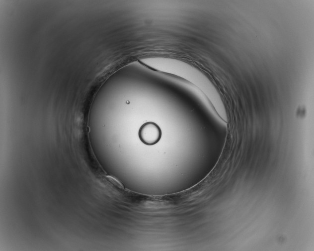X0000102850556200808251205