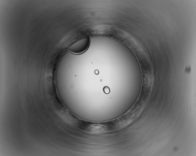 X0000102850557200808251205