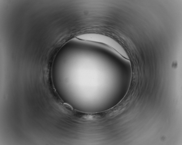 X0000102850558200808251205
