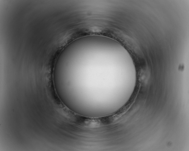 X0000102850559200808251205