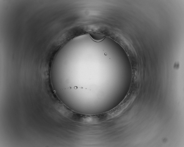 X0000102850561200808251205