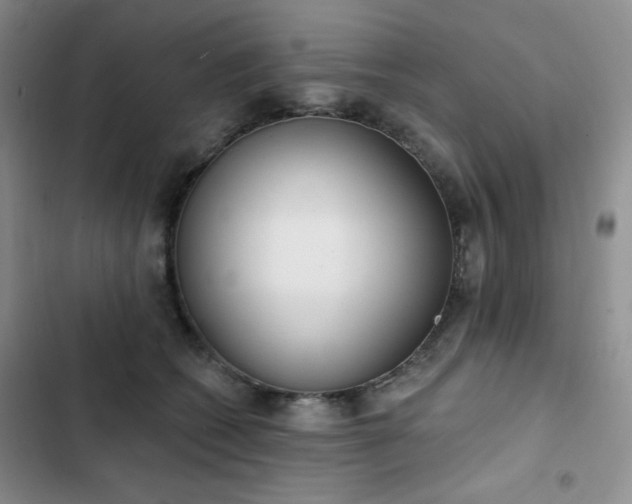 X0000102850562200808251205