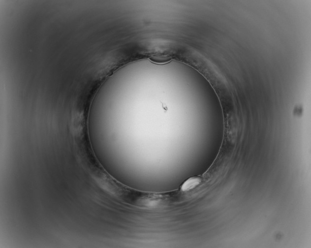 X0000102850563200808251205