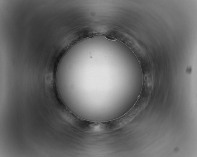 X0000102850564200808251205