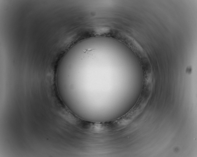 X0000102850565200808251205