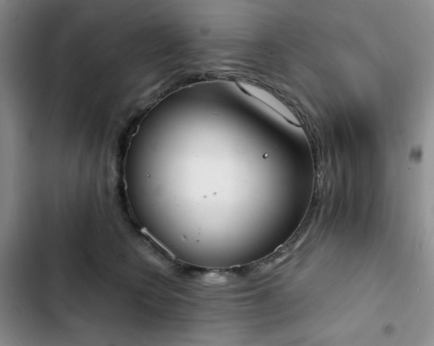 X0000102850566200808251205
