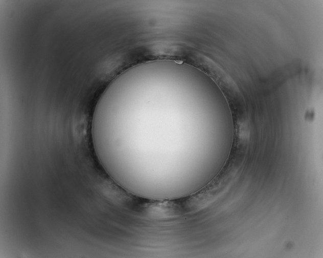 X0000102850567200808251205