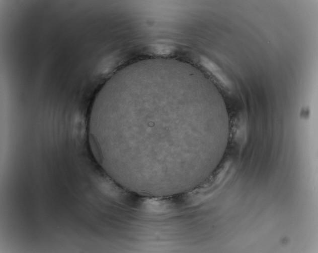 X0000102850568200808251205