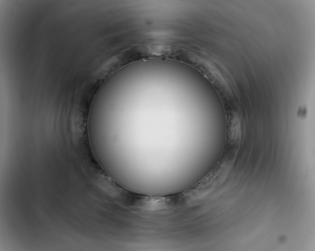 X0000102850569200808251205