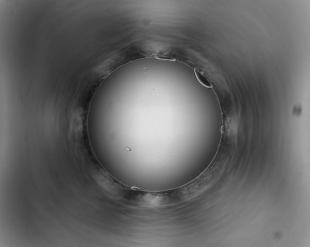 X0000102850570200808251205