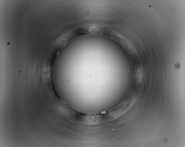X0000102850571200808251205