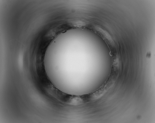 X0000102850572200808251205