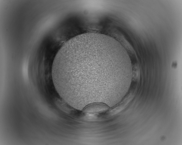 X0000102850573200808251205
